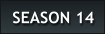 SEASON 14